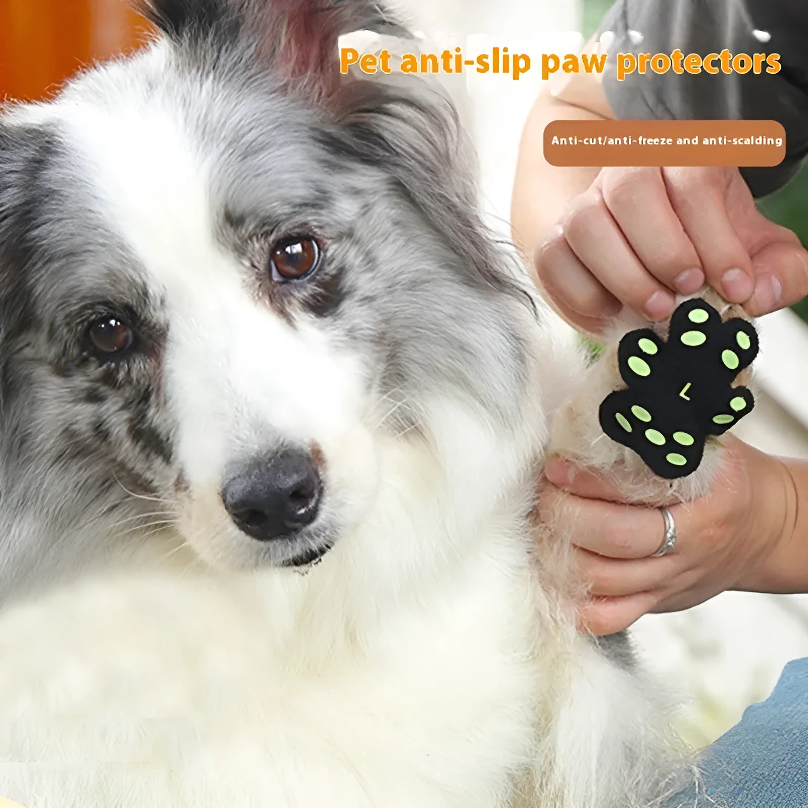 Pack of eight soft silicone invisible claw protection pads for dogs, shown in small or medium size.