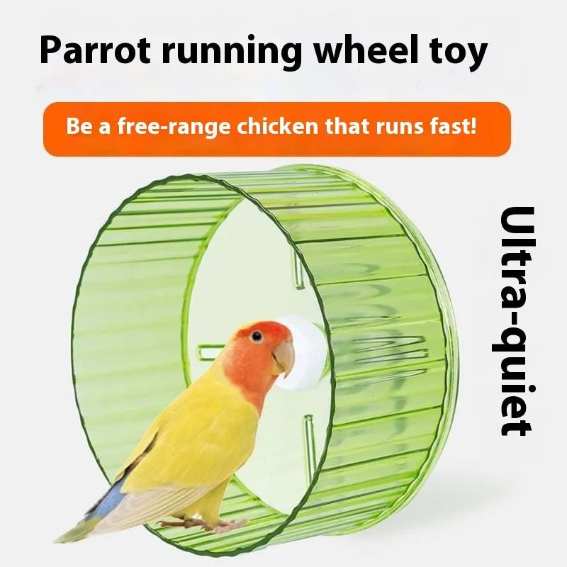 Plastic parrot exercise wheel toy in transparent colour showing rotating mechanism for bird activity