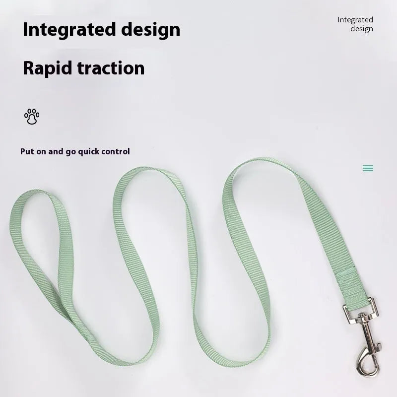 Solid colour polyester dog lead with hand holding loop, shown in blue, red, and black on a white background.
