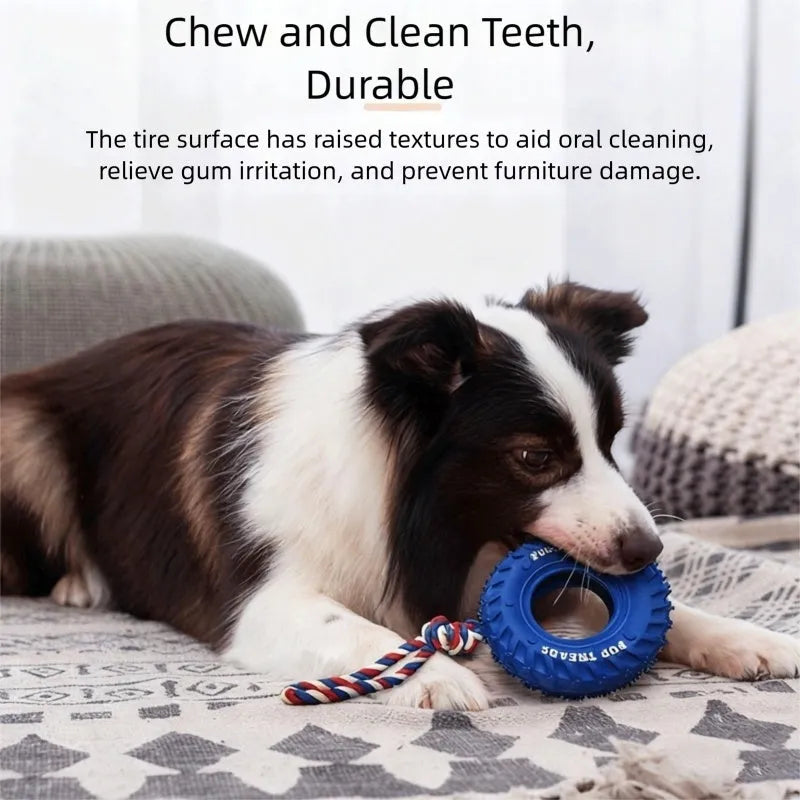 Dog chew toy with black rubber tyre and attached rope for interactive play