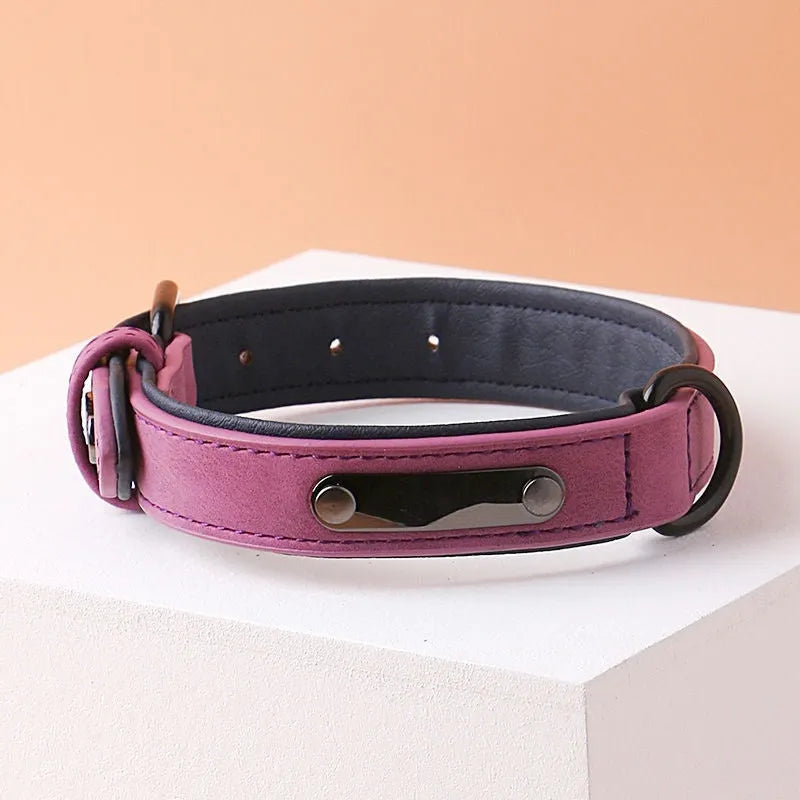 Adjustable dog collar showing PU front and microfiber back in purple colour