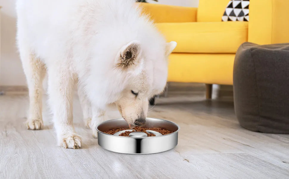 Stainless steel pet slow feeding bowl with neck protector, silver finish, single bowl for dogs and cats
