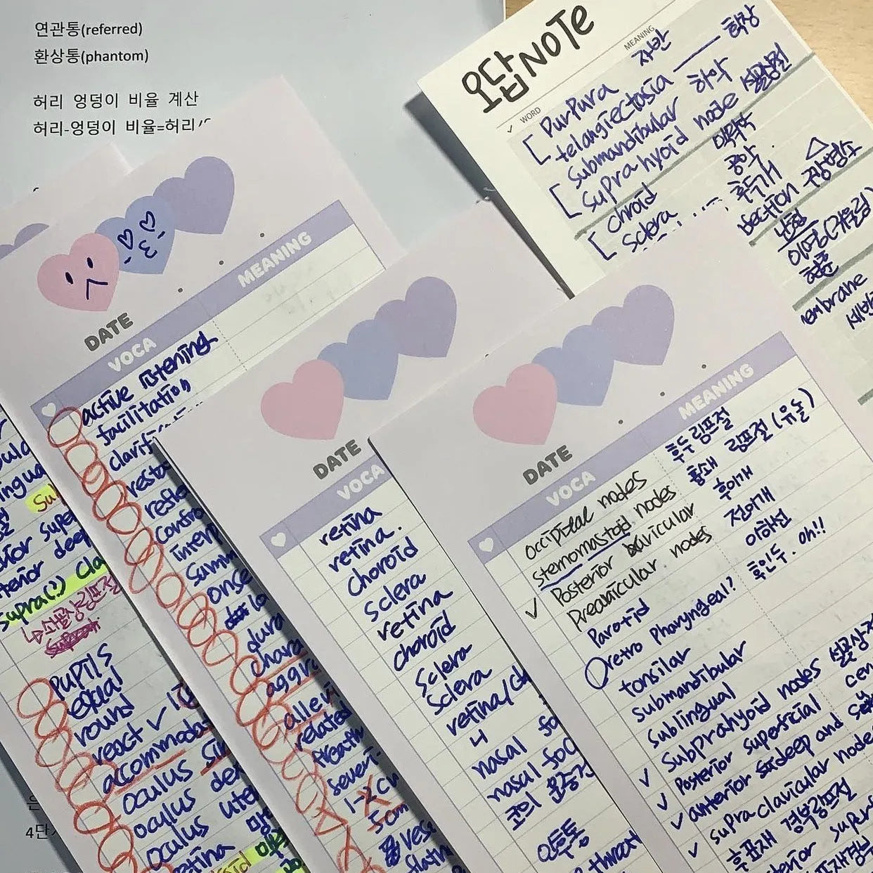 Blue B5 half-size vertical notepad with 30 sheets next to pink and purple versions.