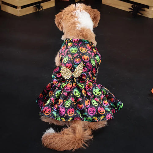 Bright orange pumpkin angel wings dog costume on a small dog, showing back wing design.