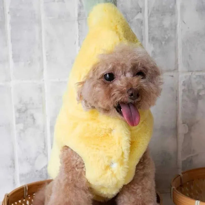 Yellow funny banana dog costume made from polyester for autumn and winter pet clothing, available in sizes S M L XL