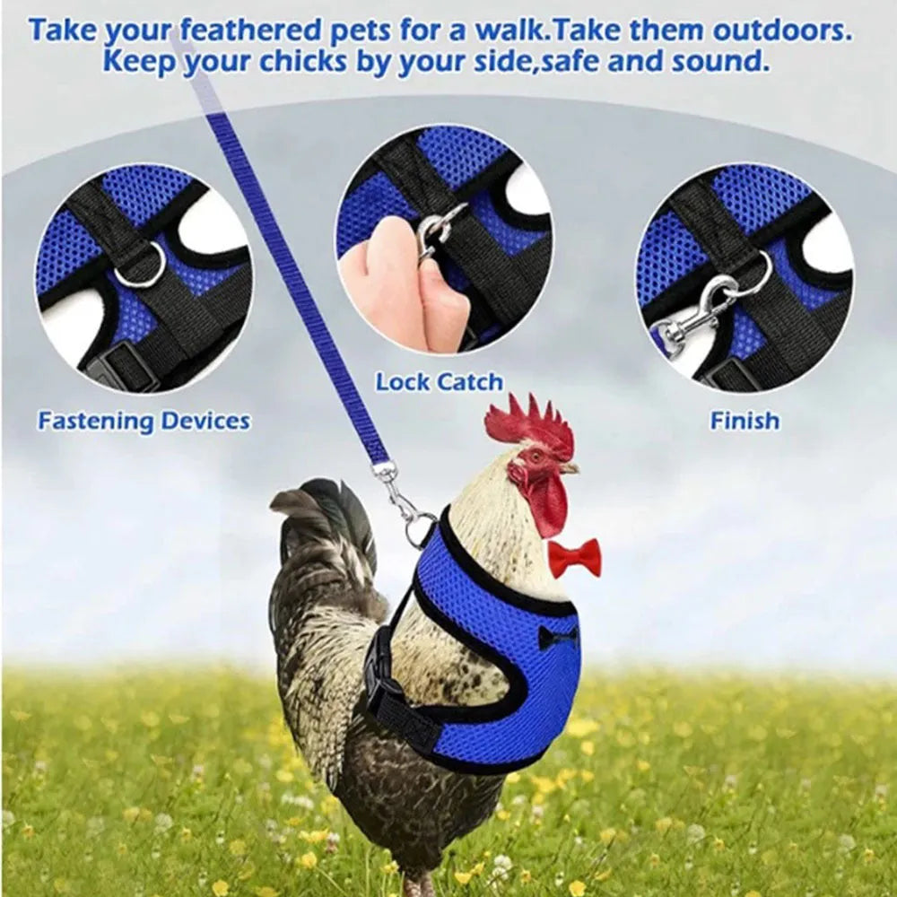 Poultry harness vest set with matching collar and bow tie in multiple colours for chickens and ducks