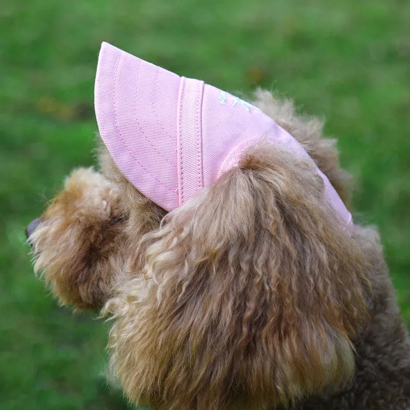 Canvas pet baseball cap for dogs and cats with adjustable buckle and Velcro, shown in black, blue, pink, and red