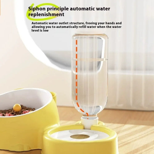 Automatic cat water bowl with stainless steel ceramic double bowls in haze blue plastic housing