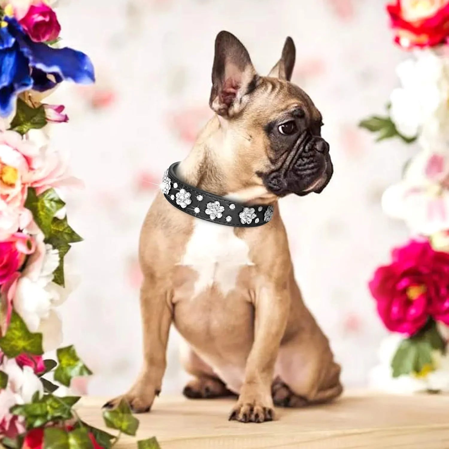 Close-up of a black PU leather dog collar with a rhinestone flower pattern and metal studs.