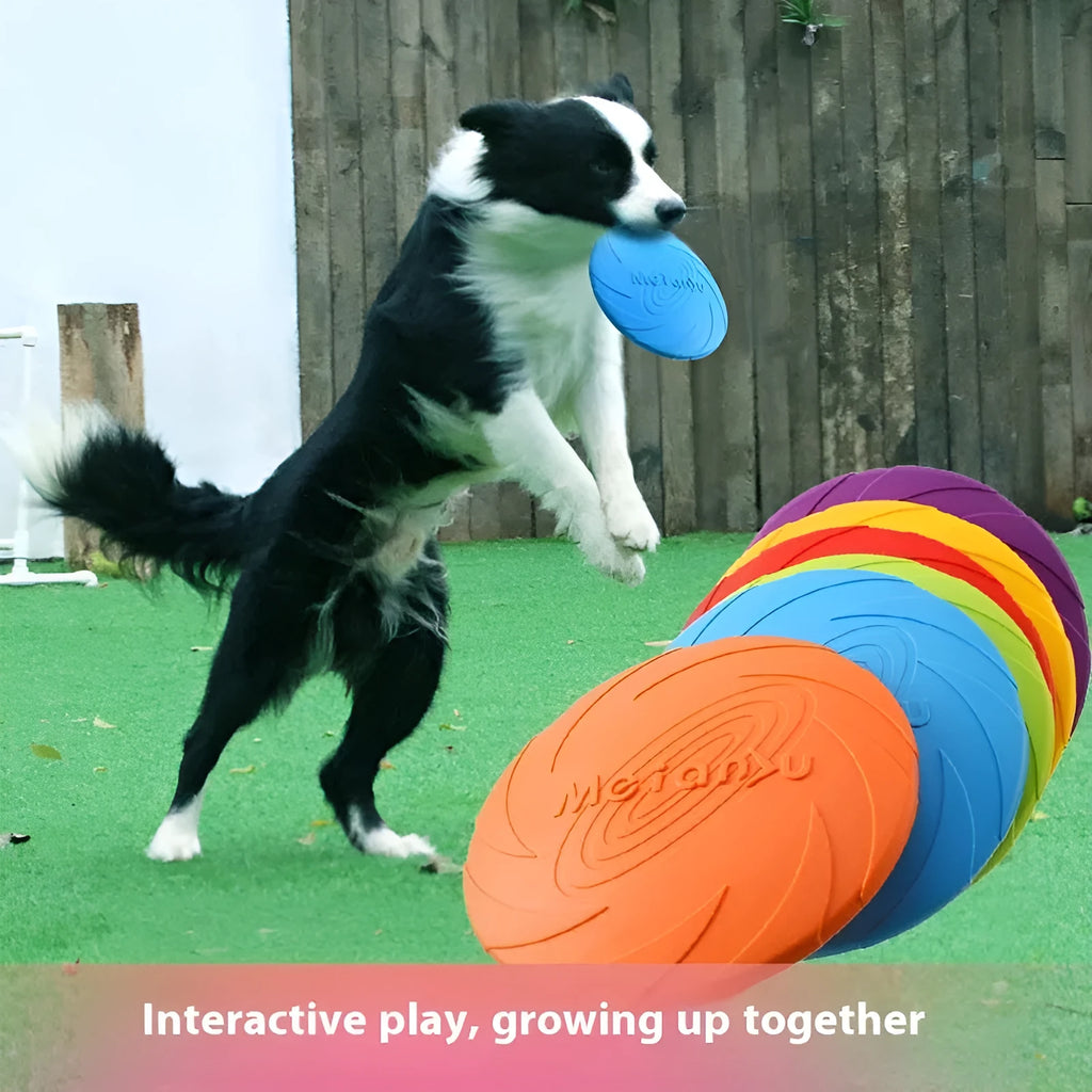 Soft rubber dog frisbee toy in red, blue, and green colour options showing small, medium, and large size variants