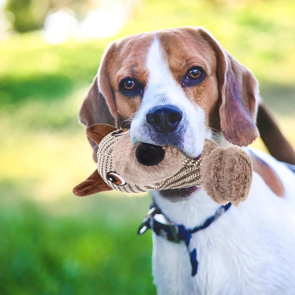 Plush squeaky dog toy for medium and large dogs, available in Monkey or Puppy design.