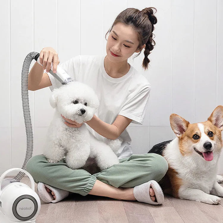 White and green ABS dog grooming tool with 9000Pa suction, 1000ml dust box, 1.3m hose, and comb attachments
