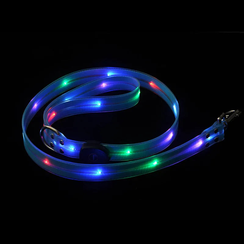 Luminous PVC dog leash in fluorescent green with 120cm length and 25mm width