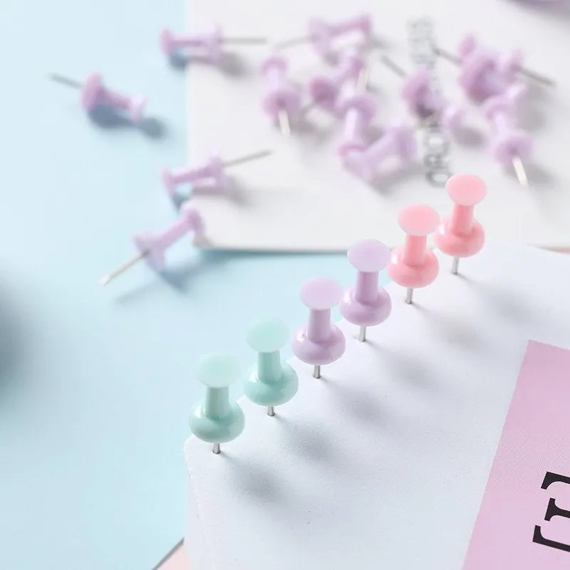 Boxed plastic push pins in macaron colours: cherry blossom pink, mint green, and lavender in large and small sizes