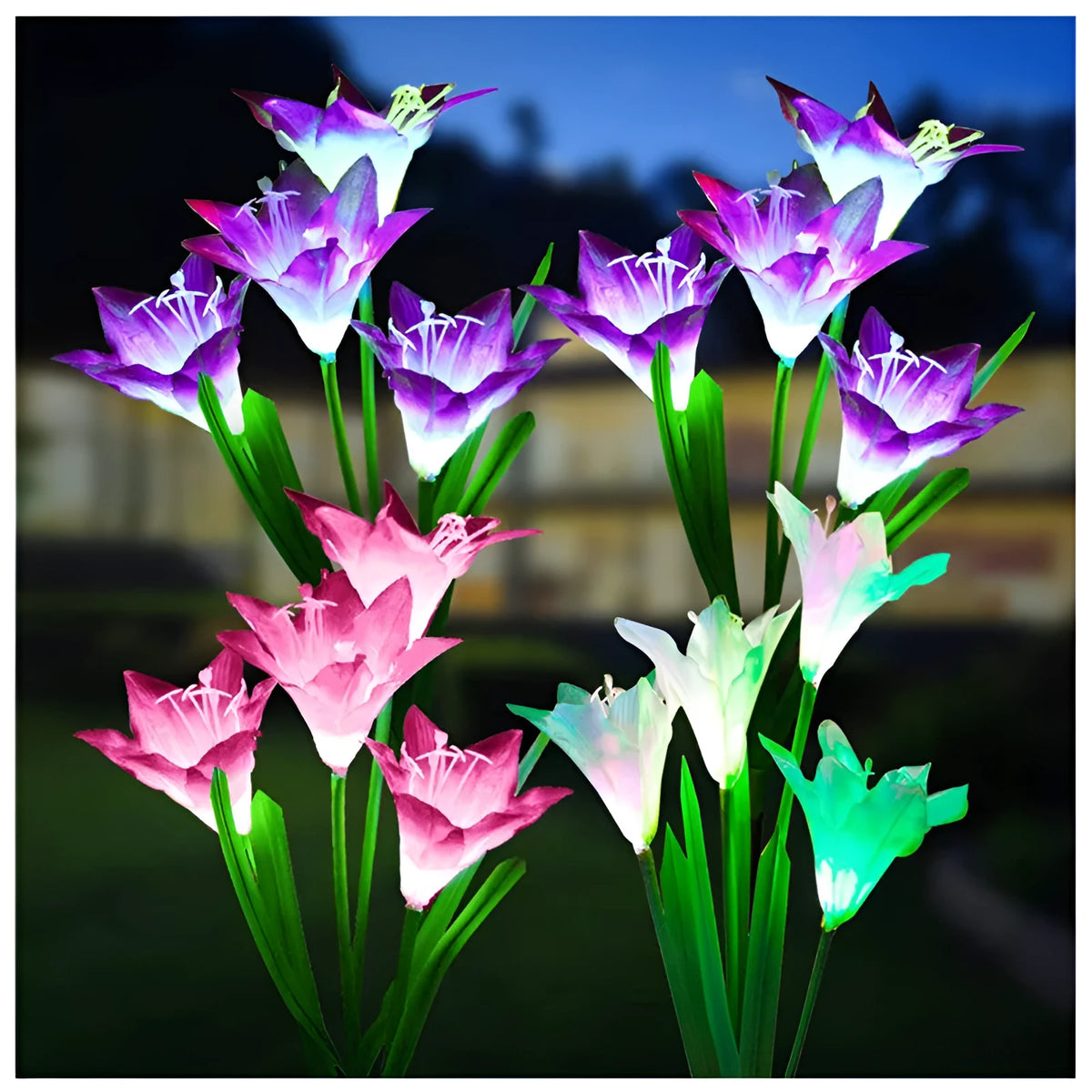 Solar lily flower light 70cm stake with silk cloth head, ABS body, 304 stainless steel ground stake, purple and red options