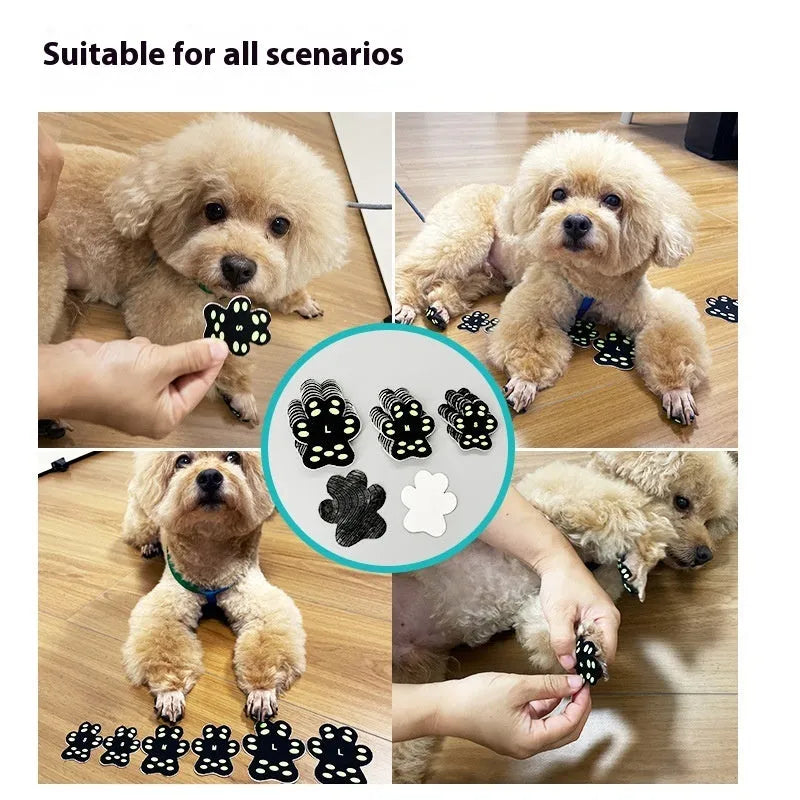 Pack of eight soft silicone invisible claw protection pads for dogs, shown in small or medium size.