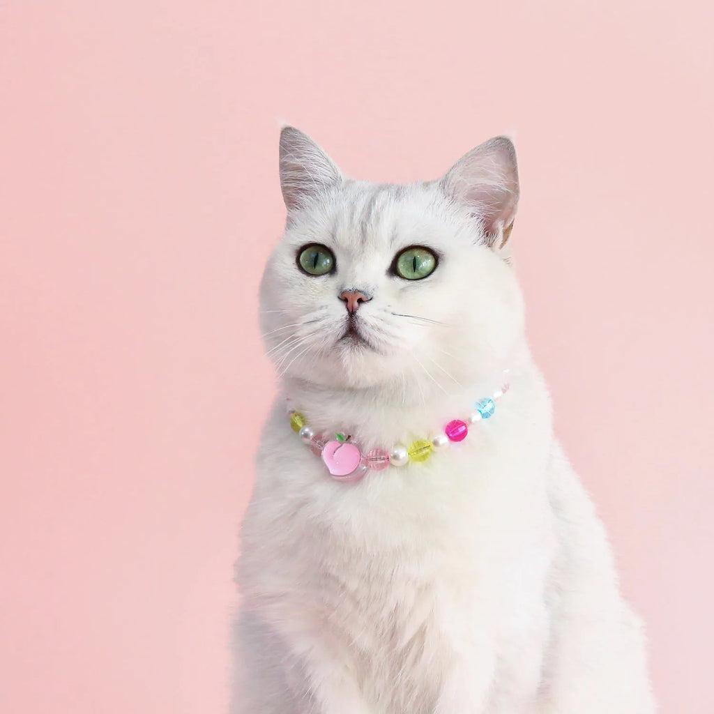 Colourful plastic bead pet necklace in peach, rainbow, and small flower designs for cats and dogs
