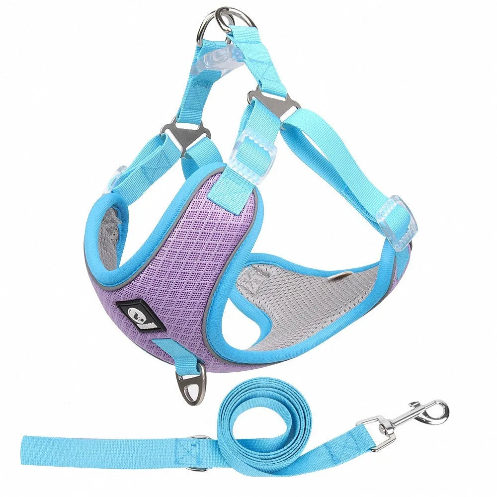 Adjustable polyester dog harness with reflective trim and breathable mesh construction